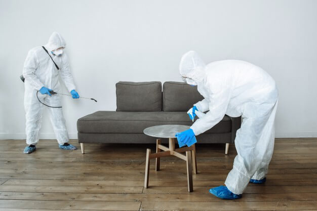 How to choose pest control for your home 2021